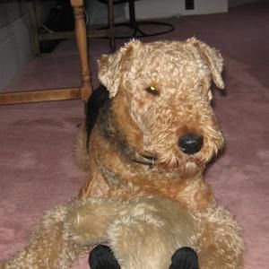 Meet your Posher, Dolena